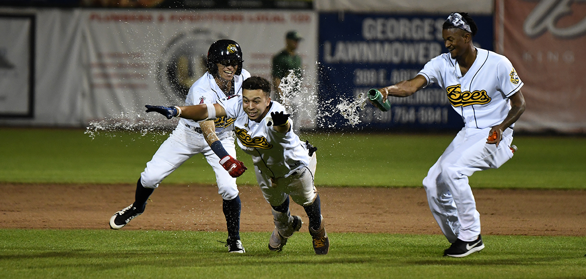 Burlington Bees Baseball: A Timeless Summer Tradition