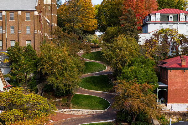 Section Image - History - Snake Alley Fall